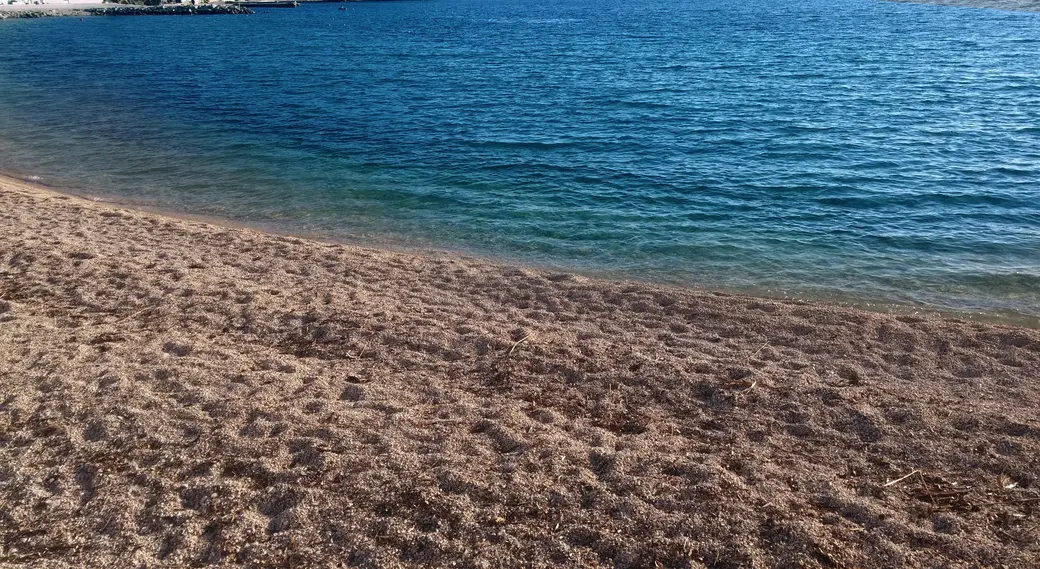 beach